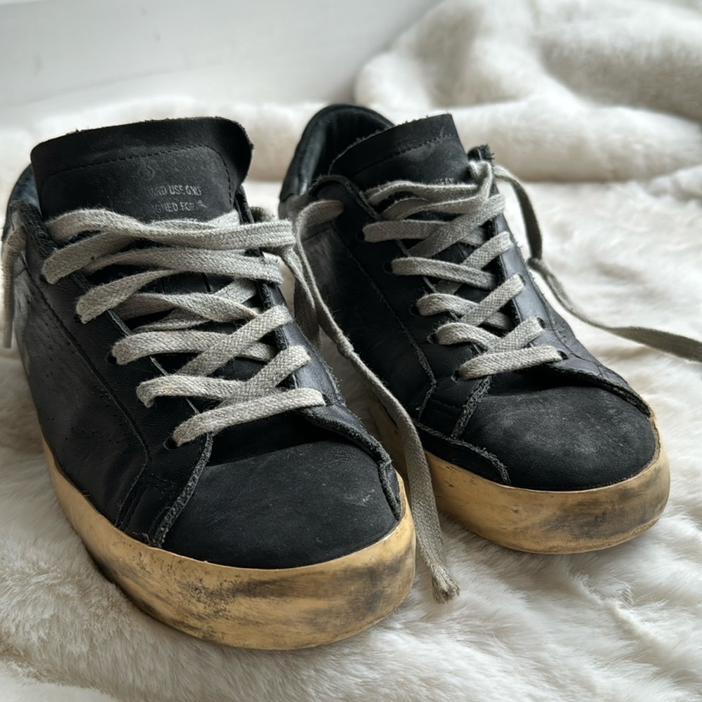 Black Golden Goose